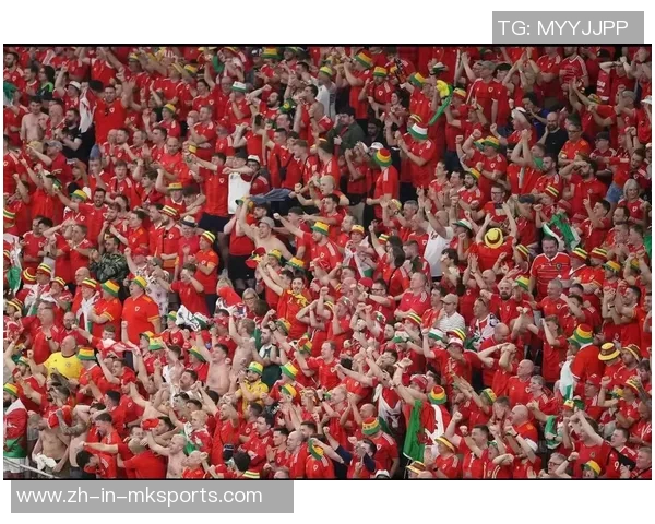 年轻人因足球球星追星展现激情与梦想引发社会广泛关注热议